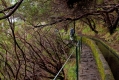 419_Madera_Levada das 25 Fontes